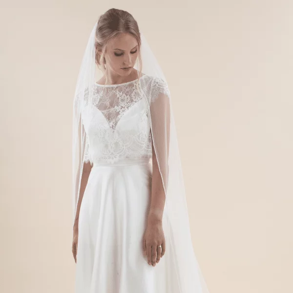 Schleier Rainbow Club Flamed