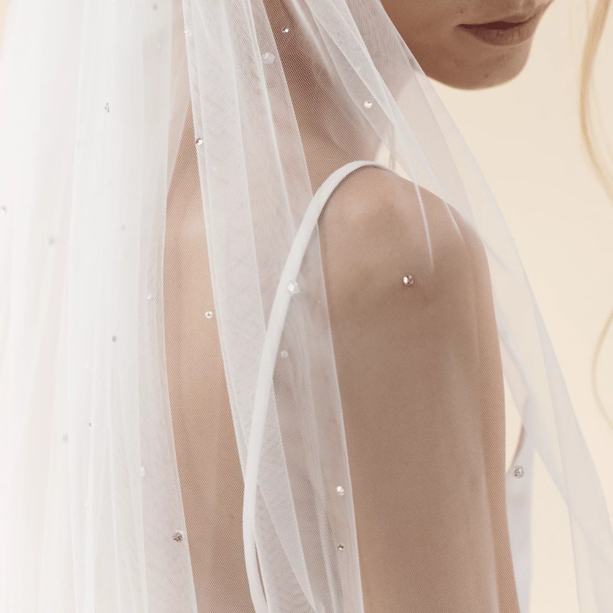 rainbow-acc-moresco_3