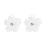 Schuh-Clip G. Westerleigh Aurora