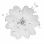 Haarkamm G. Westerleigh HS-J1573